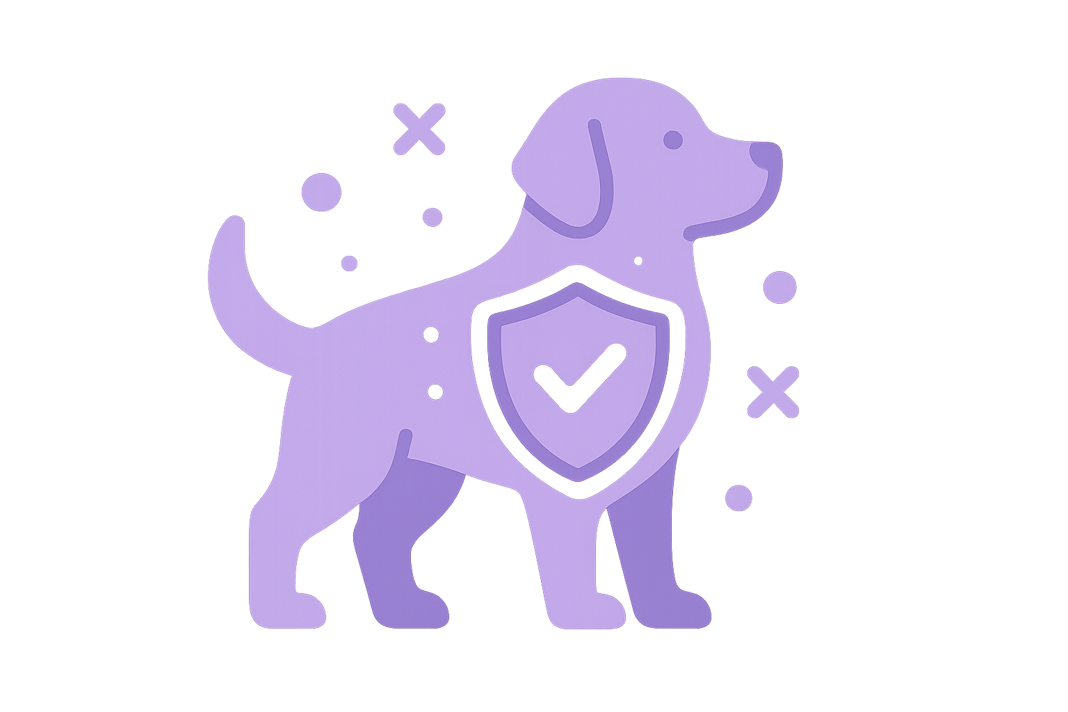 for a dog 