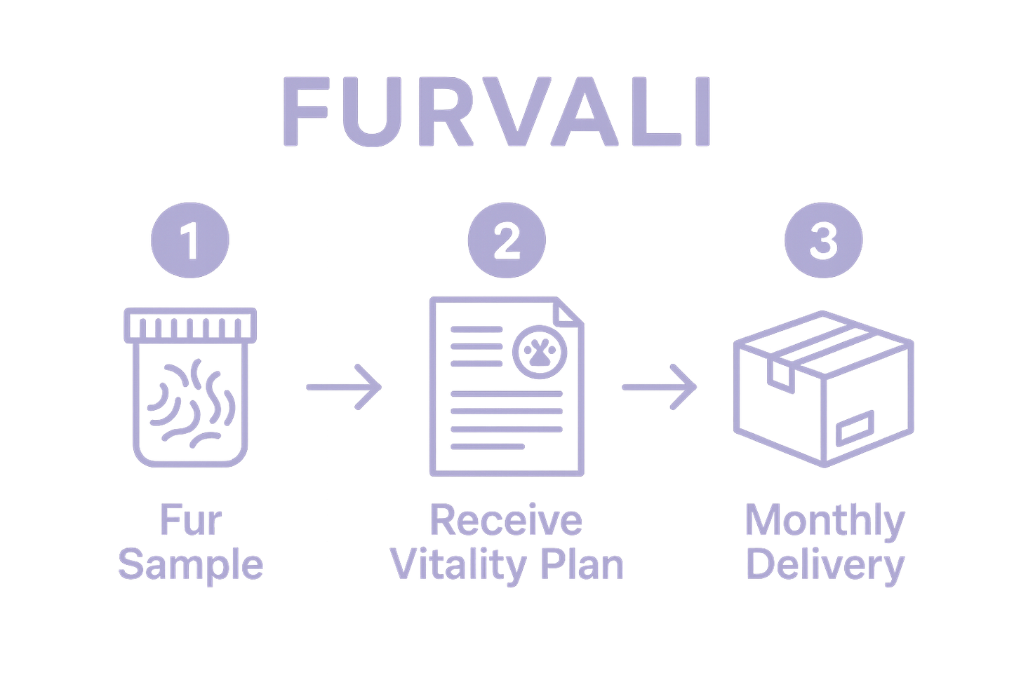 info graphic. furvali brand. lavender color theme. Step 1- Fur Sample / Step 2 receive Vitality plan / Step 3 Monthly delivery