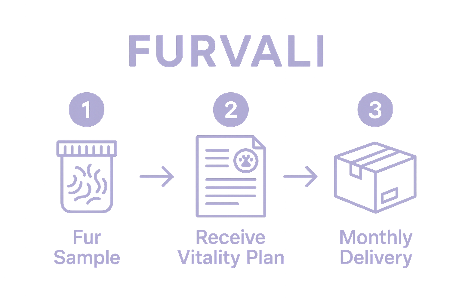 info graphic. furvali brand. lavender color theme. Step 1- Fur Sample / Step 2 receive Vitality plan / Step 3 Monthly delivery